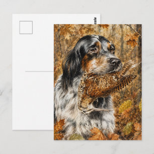 English Setter , woodcock hunting Postcard