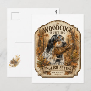English Setter , woodcock hunting Postcard