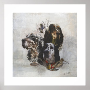 English Setter , woodcock hunting Poster