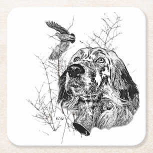 English Setter , Woodcock hunting Square Paper Coaster