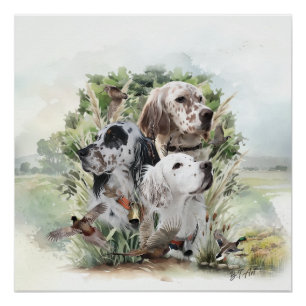 English Setters  Poster