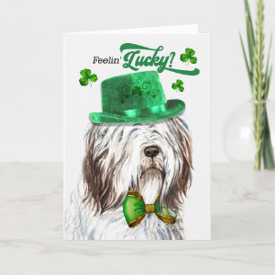 English Sheepdog Feelin' Lucky St Patrick's Day Holiday Card
