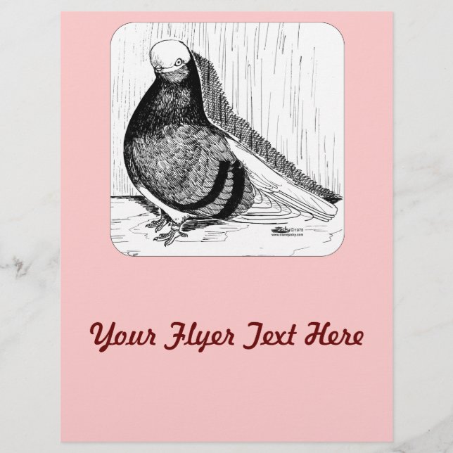 English Shortfaced Pigeon Bald 1978 Flyer (Front)