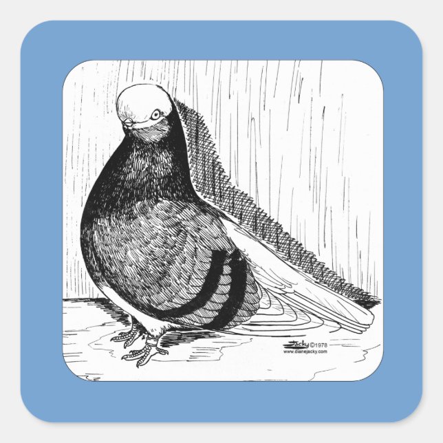 English Shortfaced Pigeon Bald 1978 Square Sticker (Front)