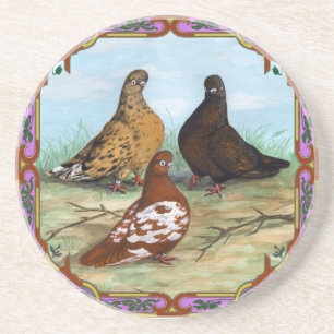 English Shortfaced Pigeons Framed Coaster