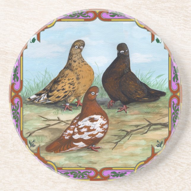 English Shortfaced Pigeons Framed Coaster (Front)