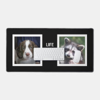 English Spaniel Dog and Racoon Custom Photos