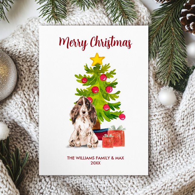 English Spaniel Dog Family Christmas Holiday Card (Creator Uploaded)