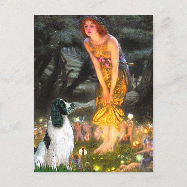 English Springer 7 - MidEve Postcard (Front)