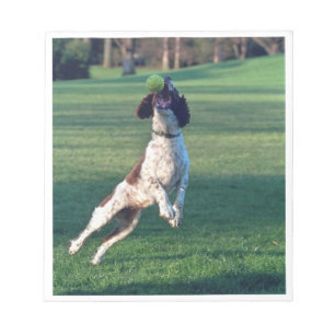 english springer catching ball.png notepad