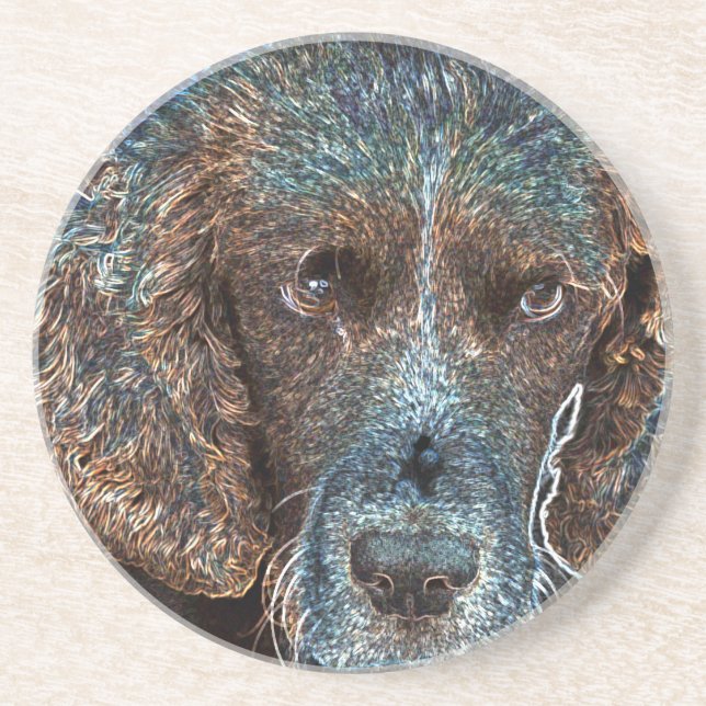 English Springer Coaster (Front)
