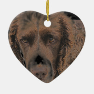 English Springer Dogs Ceramic Tree Decoration