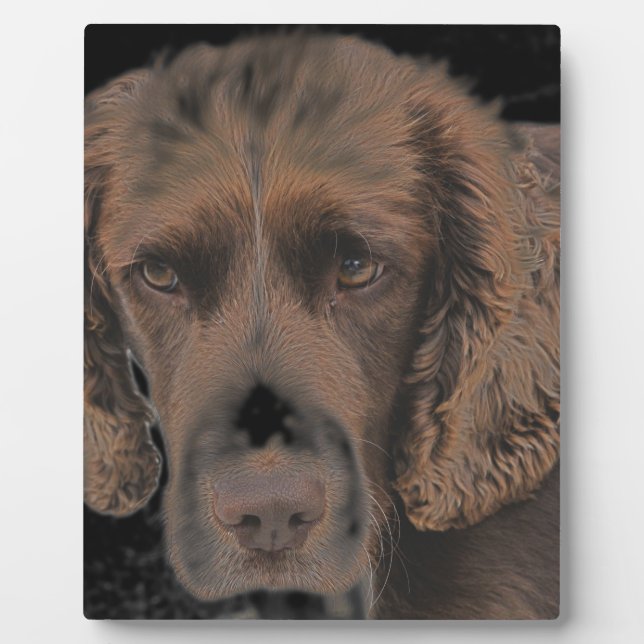 English Springer Dogs Plaque (Front)