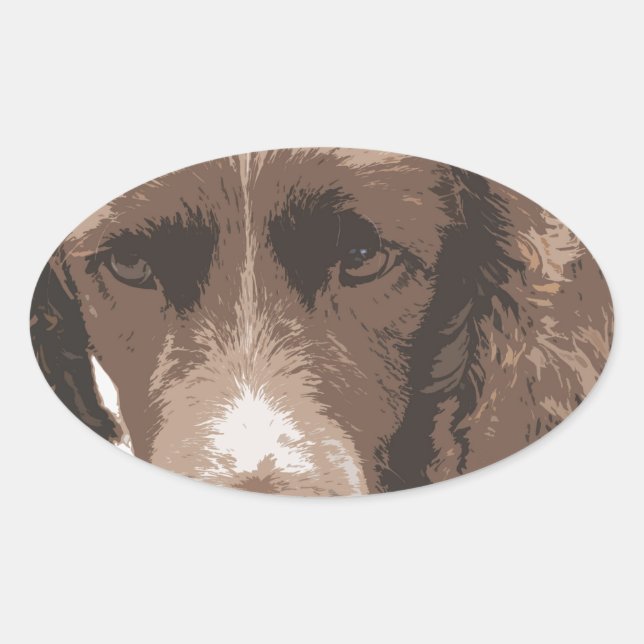 English Springer Oval Sticker (Front)