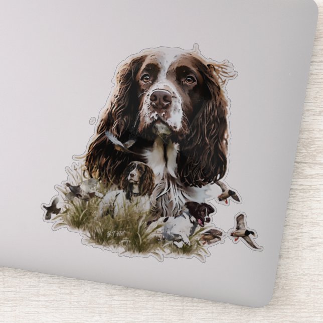 English Springer Spaniel (Detail)
