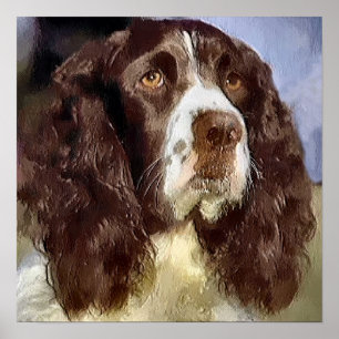English Springer Spaniel Art Gifts Poster