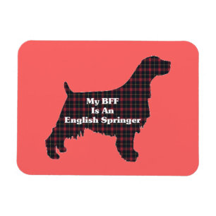 English Springer SPANIEL BFF Magnet