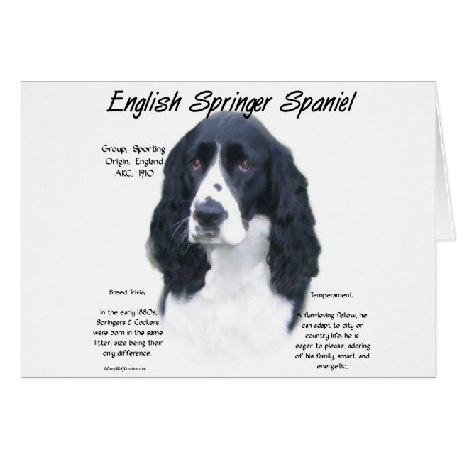 English Springer Spaniel (blk) History Design (Front Horizontal)