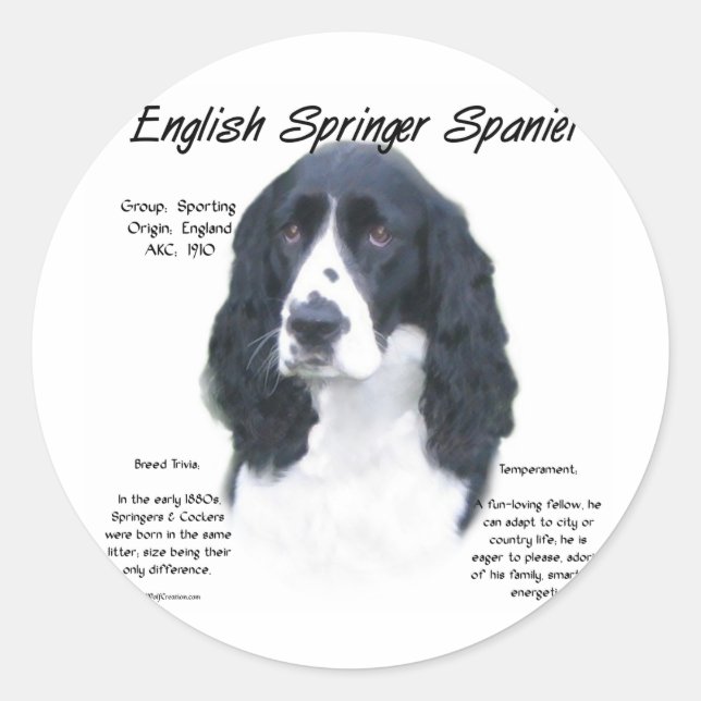 English Springer Spaniel (blk) History Design Classic Round Sticker (Front)