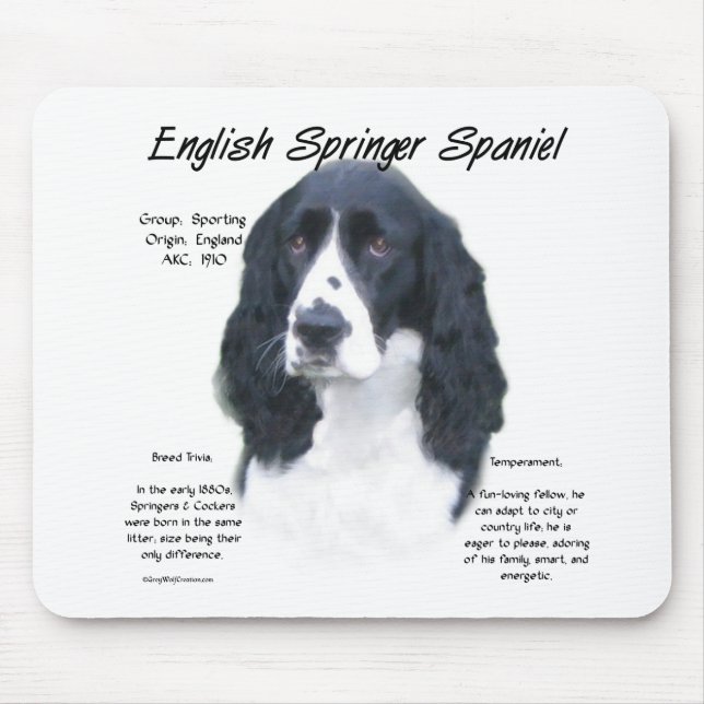 English Springer Spaniel (blk) History Design Mouse Pad (Front)