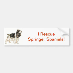 English Springer Spaniel Bumper Sticker