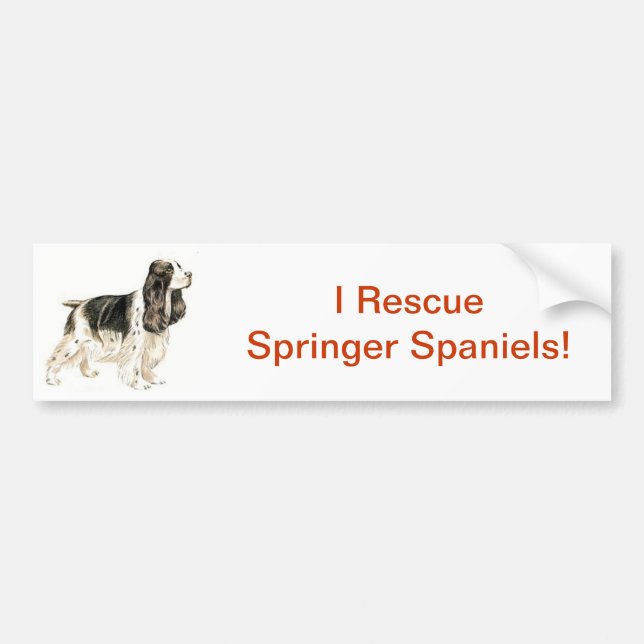 English Springer Spaniel Bumper Sticker (Front)