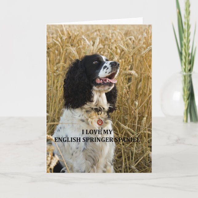 english springer spaniel bwlove w pic card (Front)
