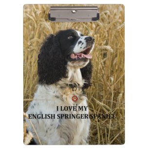 english springer spaniel bwlove w pic clipboard