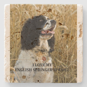 english springer spaniel bwlove w pic stone coaster