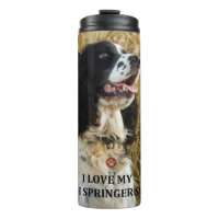 english springer spaniel bwlove w pic