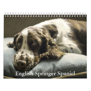 English Springer Spaniel Calendar