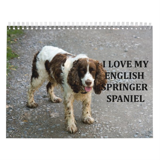 English Springer Spaniel Calendar (Cover)