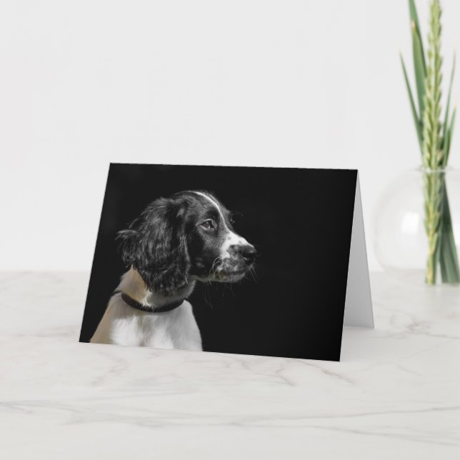 English Springer Spaniel Card (Front)