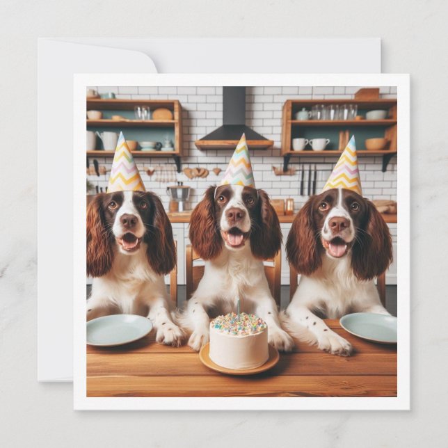 English Springer Spaniel card, Spaniel birthday Invitation (Front)