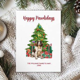 English Springer Spaniel Christmas Card