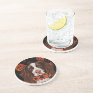 English Springer Spaniel        Coaster