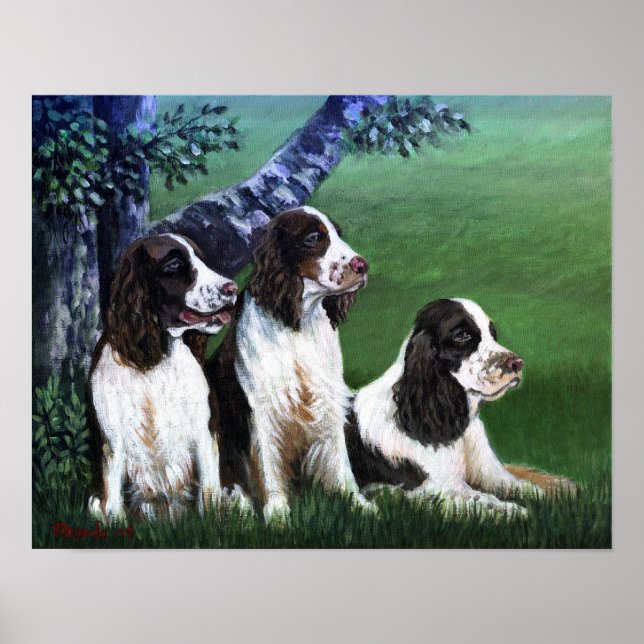 English Springer Spaniel Dog Poster Print (Front)
