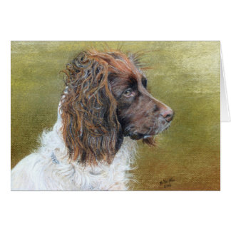 English Springer Spaniel, fine art