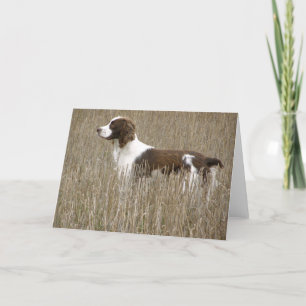 English Springer Spaniel - Greeting Card