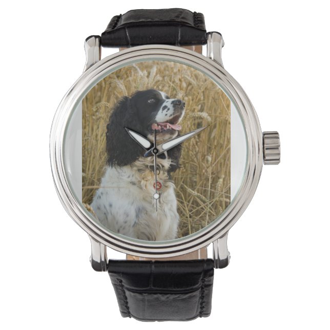 english springer spaniel in wheat.png watch (Front)