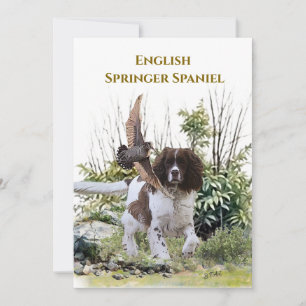  English Springer Spaniel  Invitation