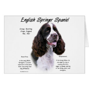 English Springer Spaniel (liver) History Design