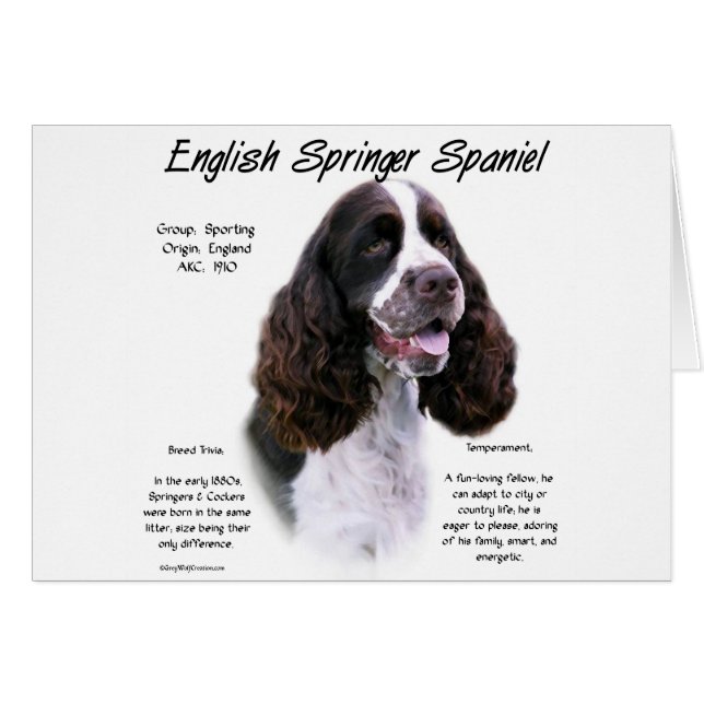 English Springer Spaniel (liver) History Design (Front Horizontal)