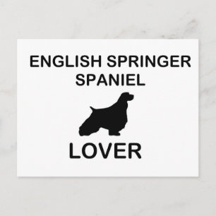 english springer spaniel lover postcard