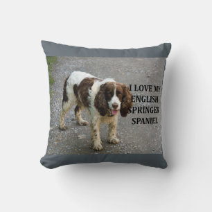 english springer spaniel lw love w picc cushion