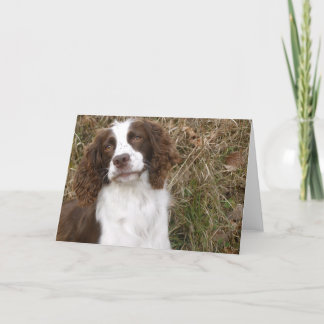 English Springer Spaniel - Man's Best Friend Card