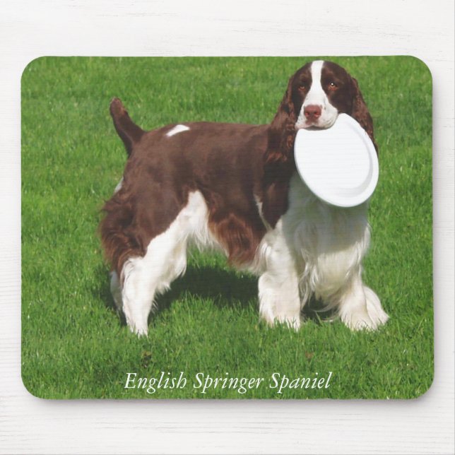English Springer Spaniel Mousepad (Front)