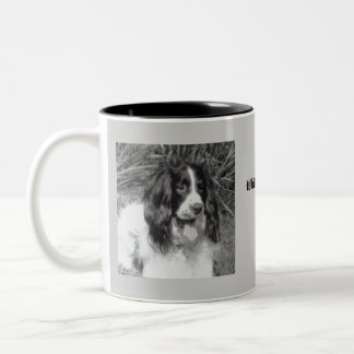 English Springer Spaniel Mug