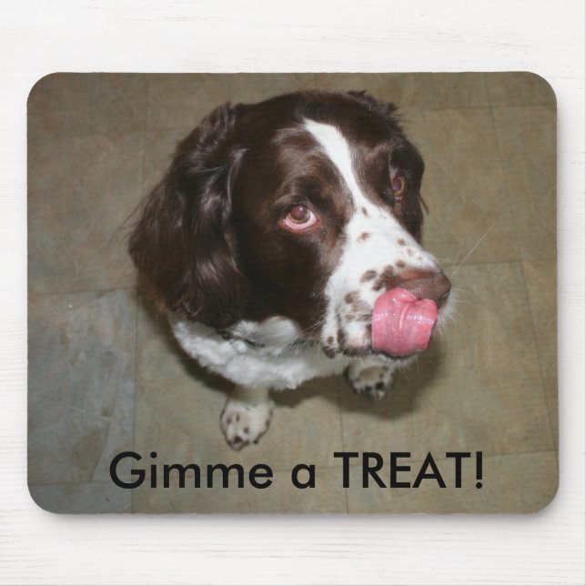 English Springer Spaniel, Otis wants a Treat! Mouse Pad (Front)
