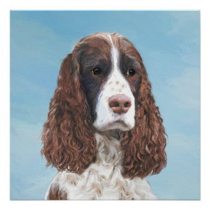 English Springer Spaniel Painting Original Dog Art Poster